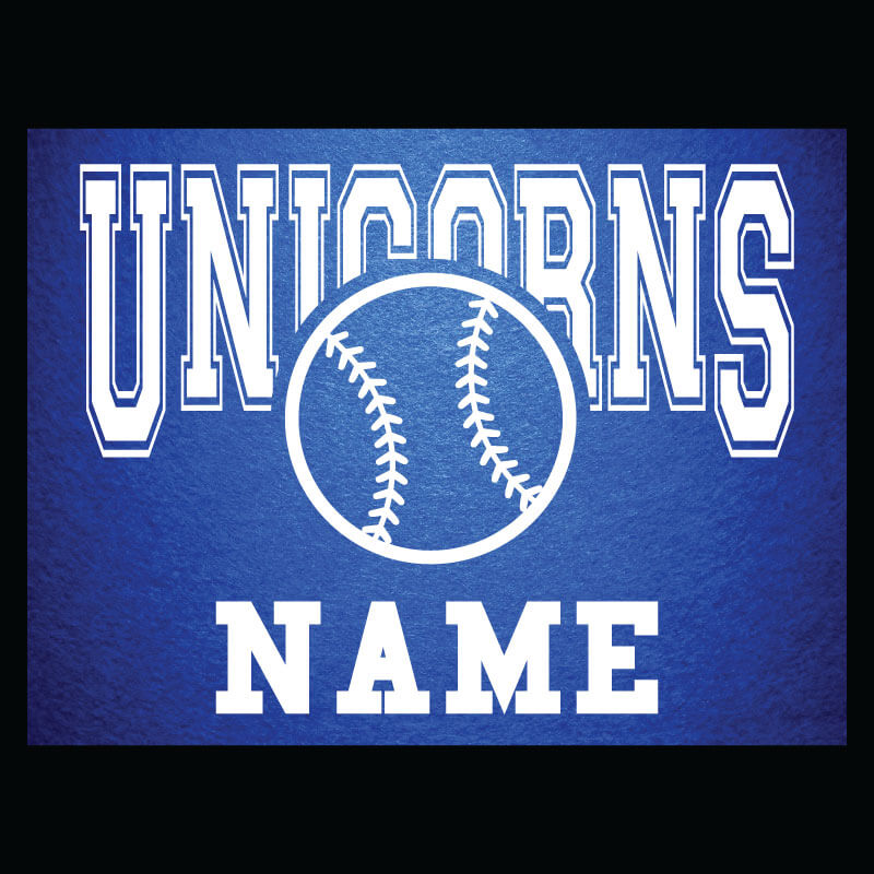 Baseball Sign NBHS
