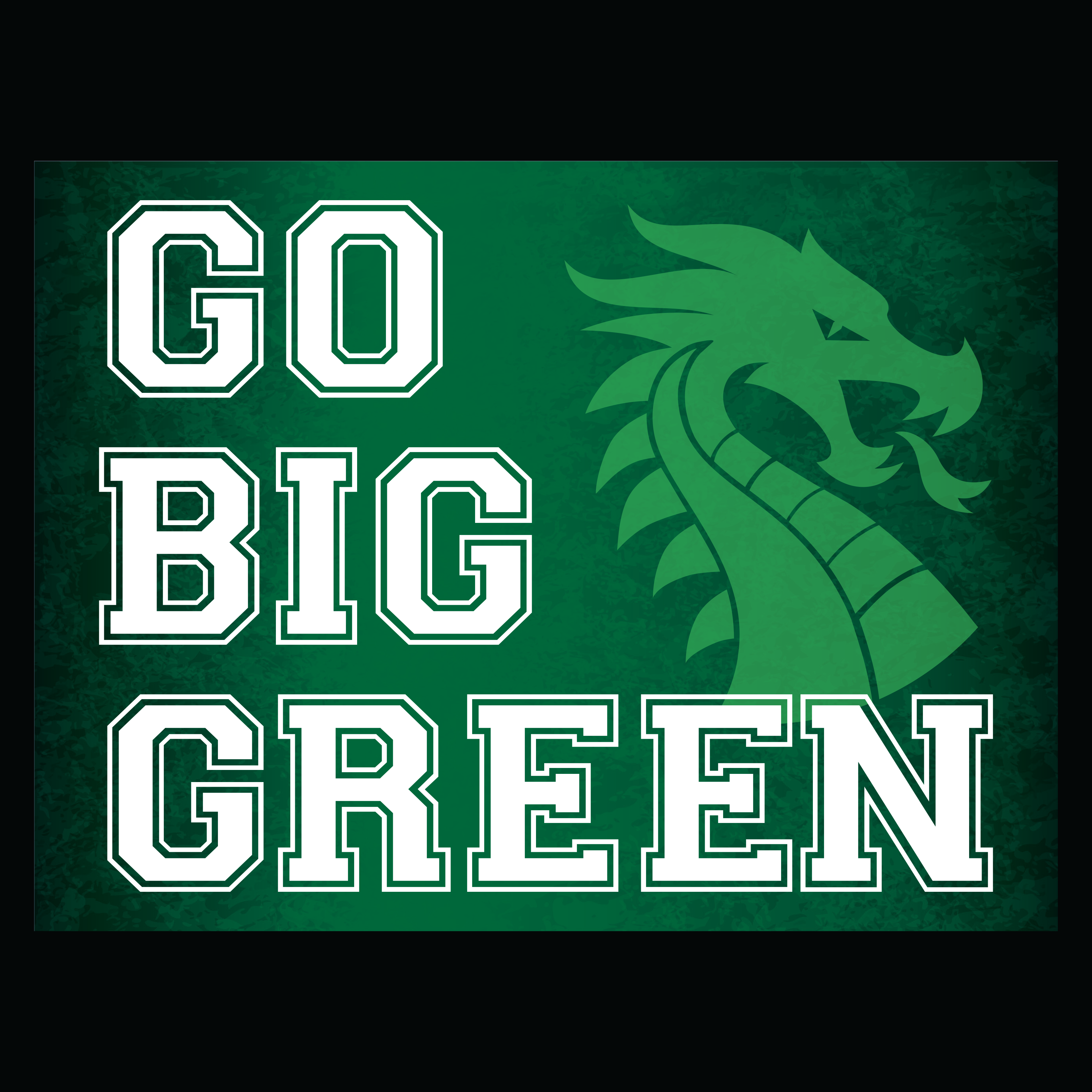 Big Green Sign LCHS